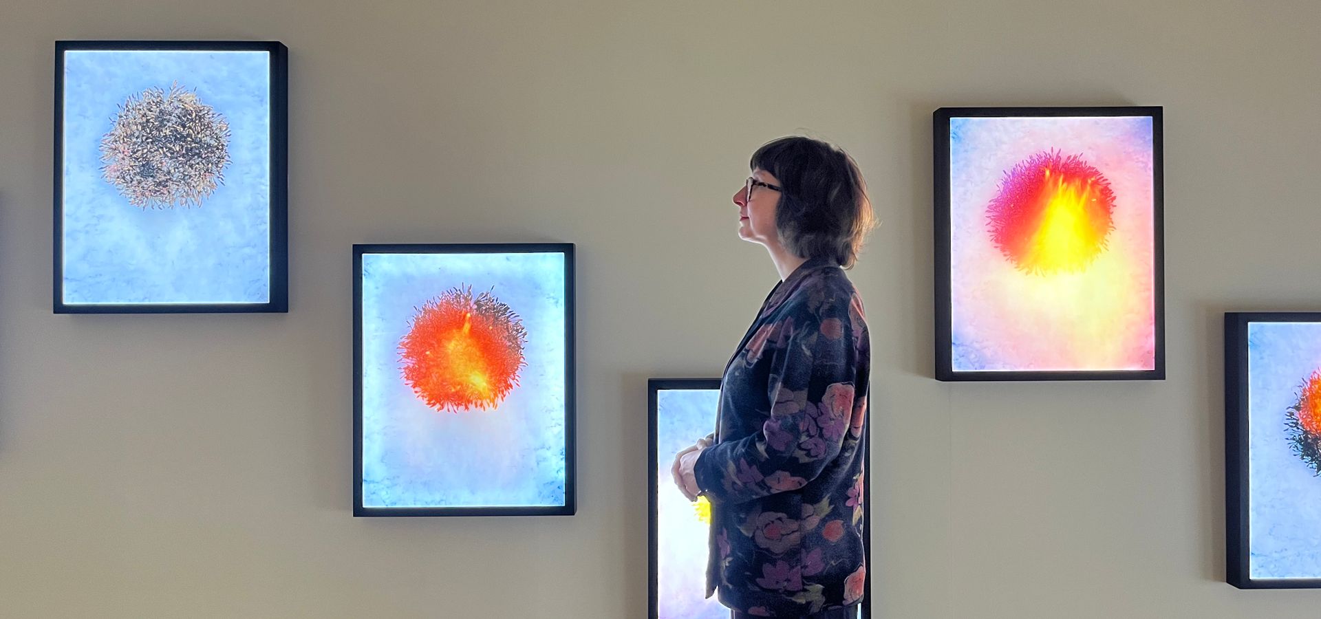 Leeds Art Gallery's exhibitions curator Liza Butakova with Yan Wang Preston's Winter Seed Capsules, one of the stunning works on display as part of Plant Dreaming.