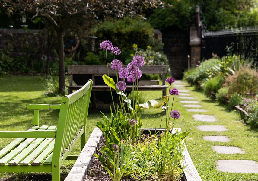 Purple plants in a sleeper bed next to a green bench in the Colour Garden