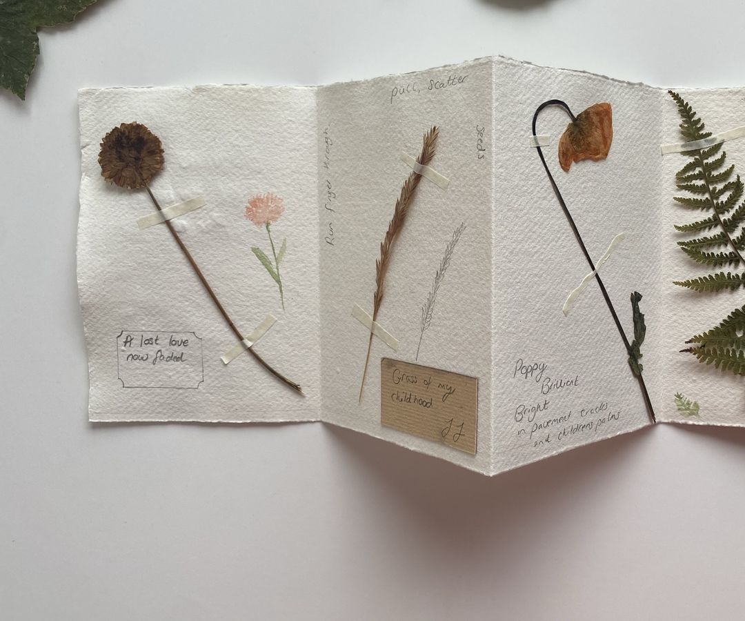 A folded piece of paper with pressed plants on