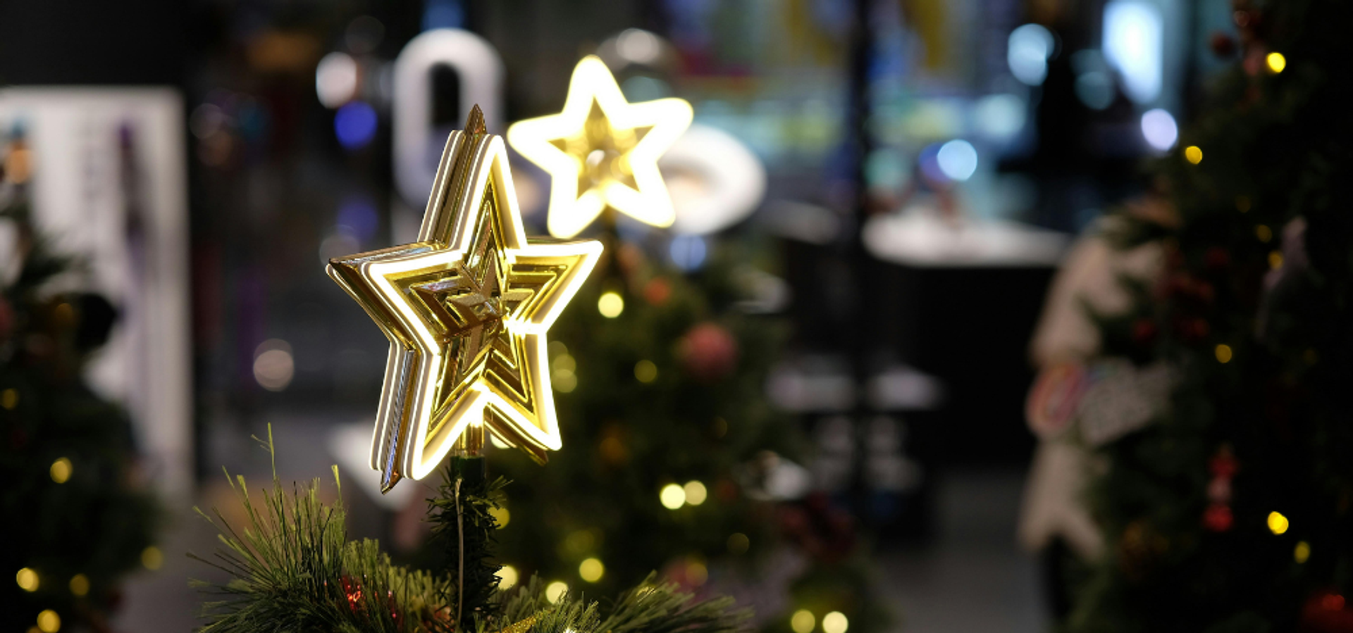 An illuminated star on top of a tree