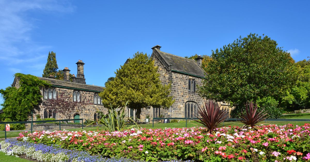 Higher States of Consciousness — Wellbeing Week