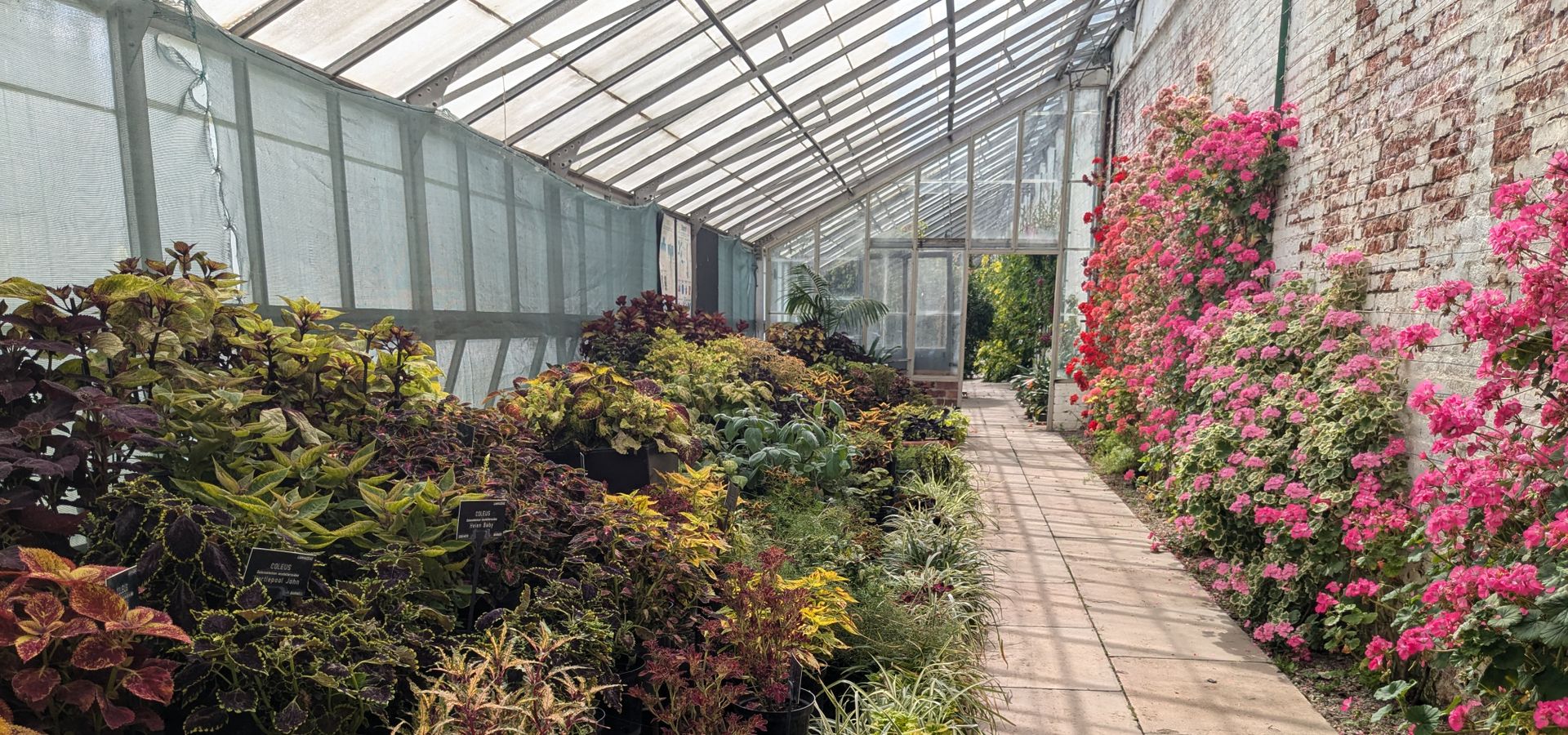 Greenhouse with flowers on each side
