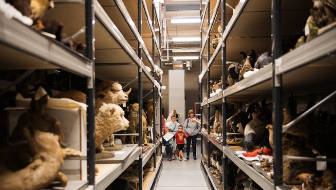 A family group looking down a storage aisle with taxidermy animals on