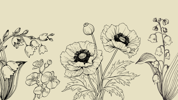 plants and flowers illustrated with black lines on a beige background