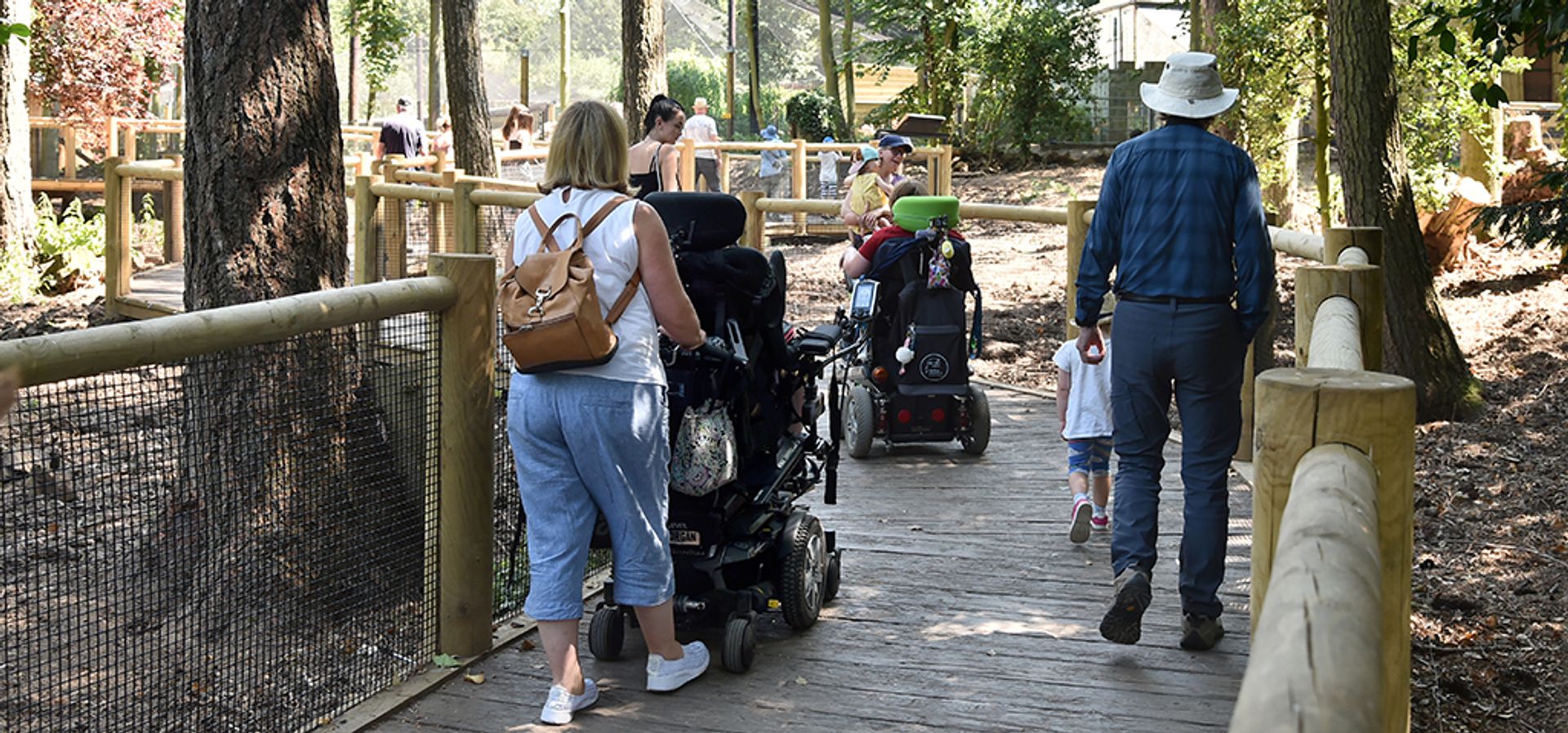 a group walking on a boardwalk with 2 people in motorised wheelchairs