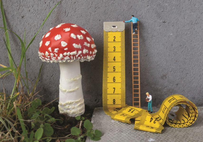 A crafted mushroom, with a miniature tape measure and set of ladders, with a figurine on 