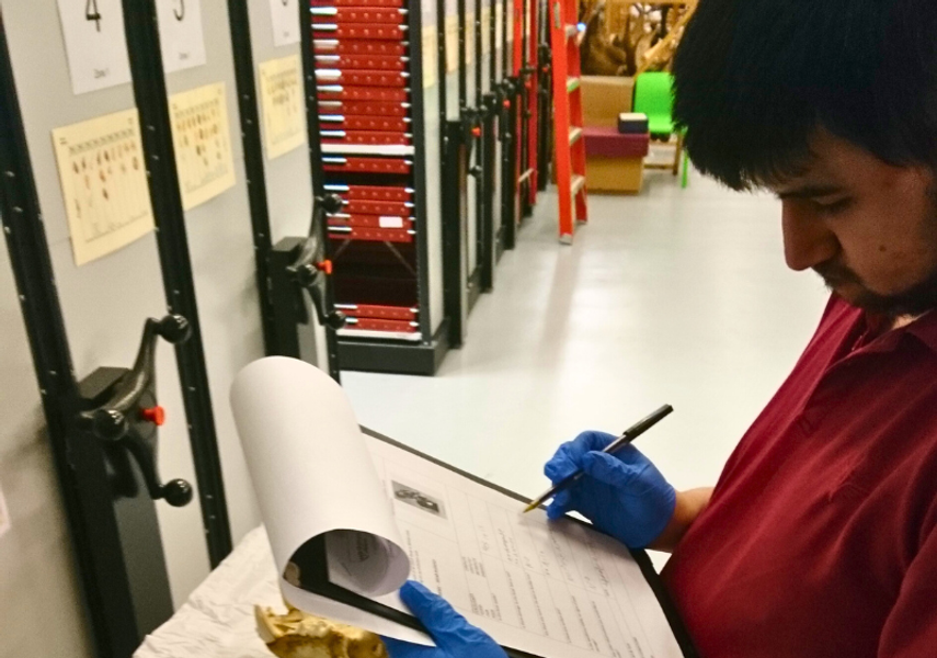 A young man writes on a clipboard in a museum storage facility.