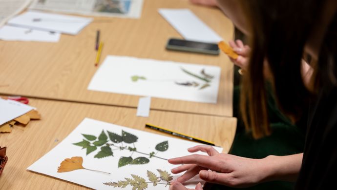 Hands working on a herbarium sheet craft activity