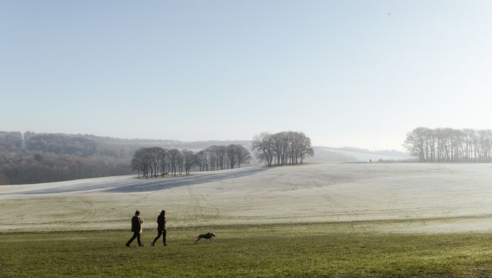 Winter at Temple Newsam Estate