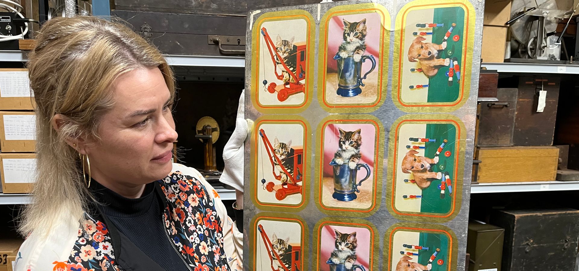 A curator holding portraits of kittens and a puppy playing with toys