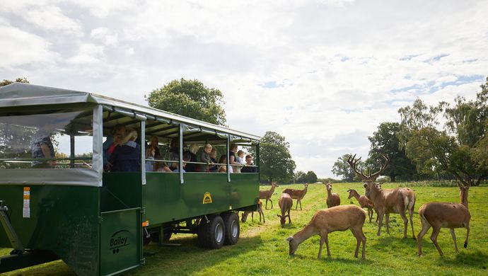 People on a trailer looking at Deer