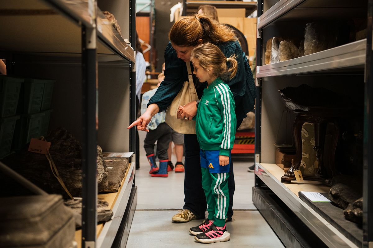 An adult and child looking at at bottom shelf full of museum objects