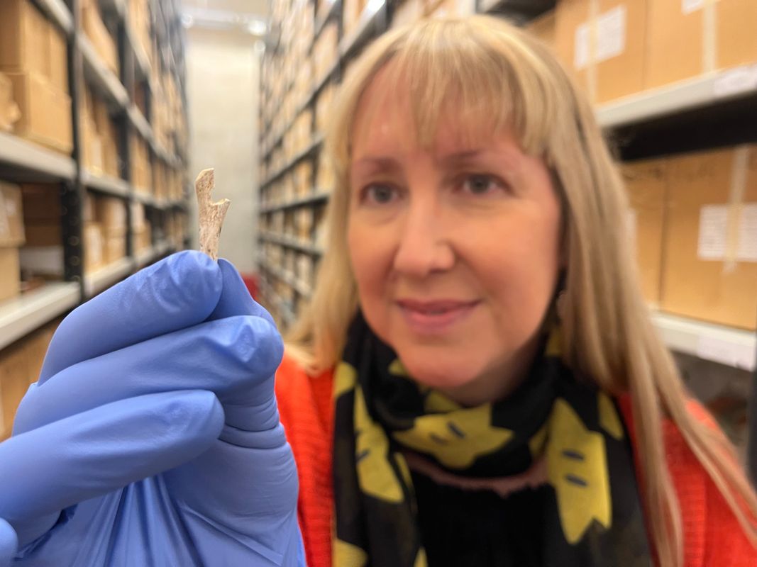 Kat Baxter, Leeds Museums and Galleries’ curator of archaeology, with part of a pin which was carefully carved from a piece of animal bone, one of the Bronze Age finds made at Pitty Close Farm.