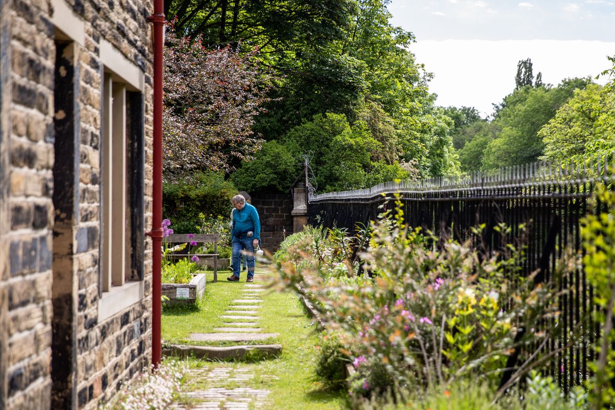A stone pathway on grass next to a building on the left, with plants and a fence on the right