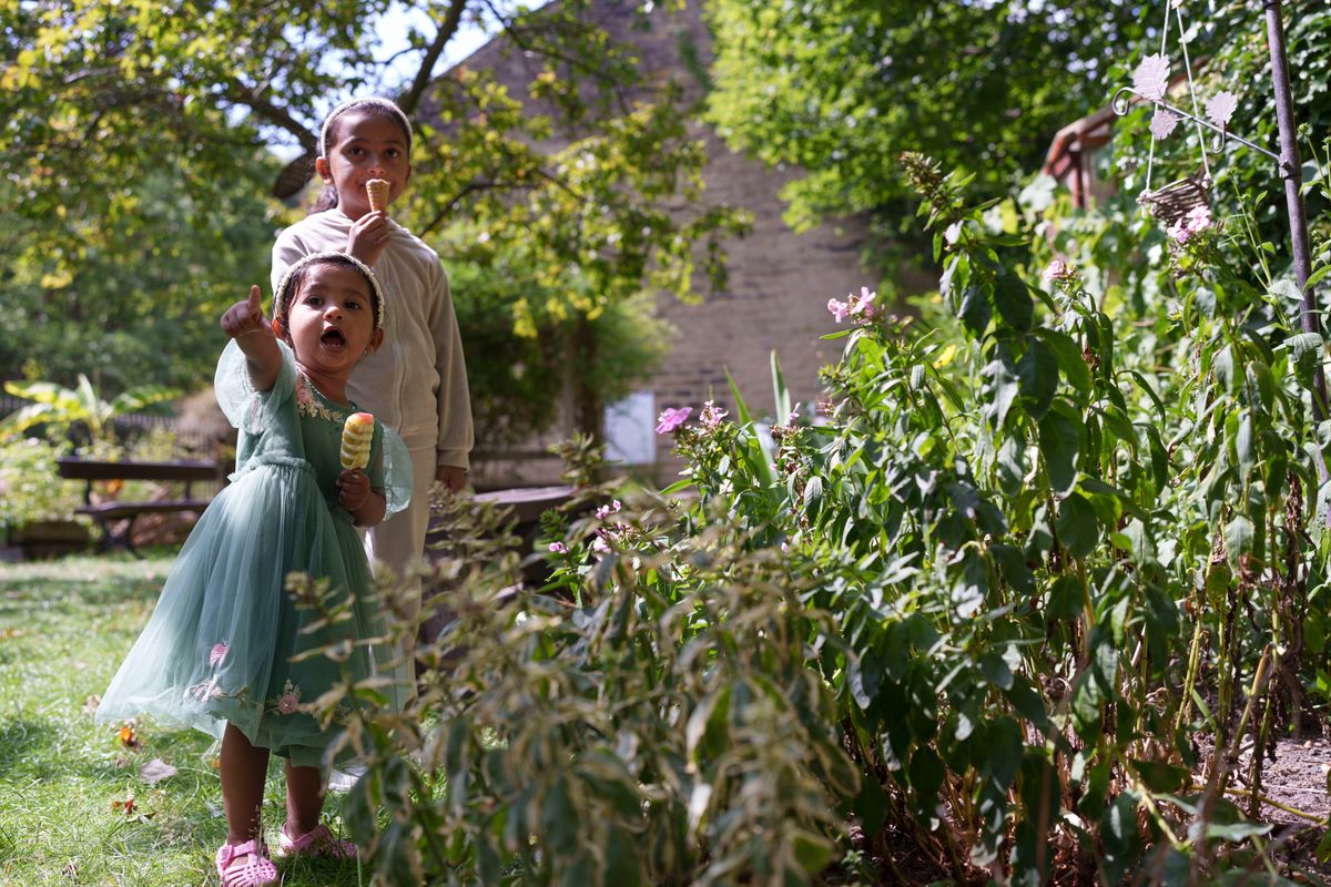 A toddler looking at plants in a garden