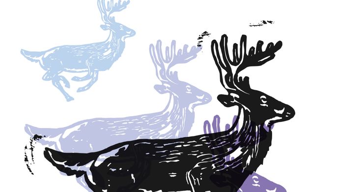 Lino prints of deer