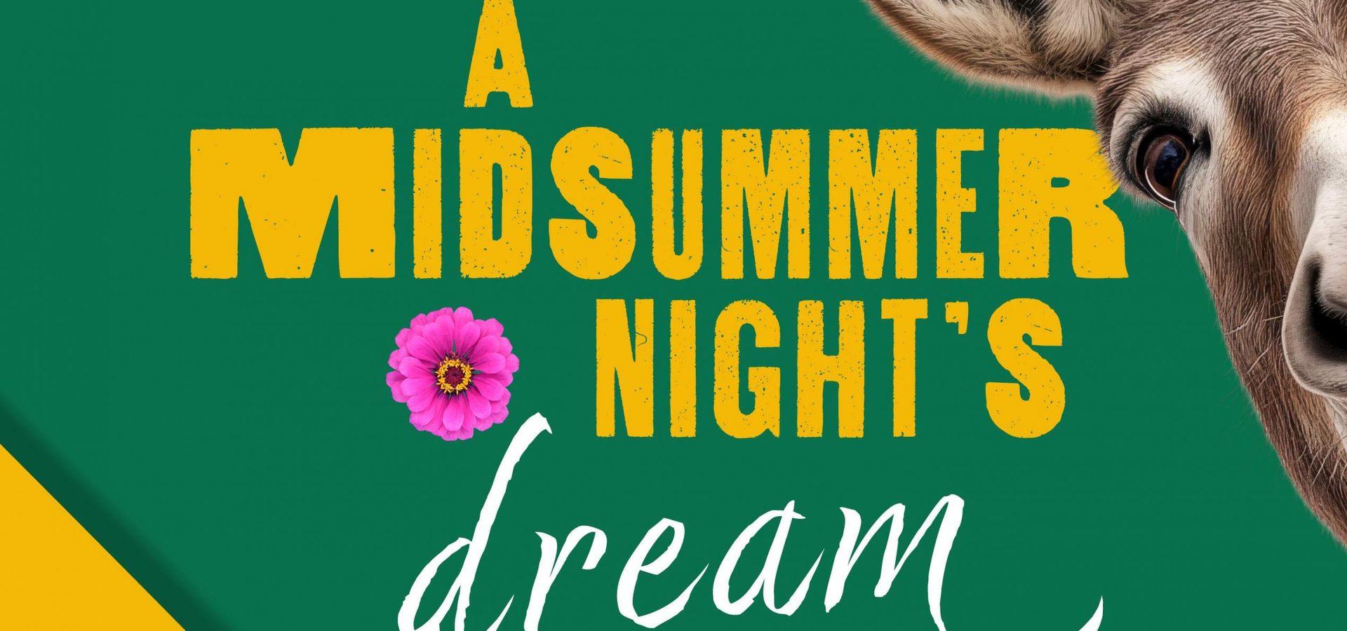 Green background with a donkey's face and text reading "A Midsummer Night's dream"