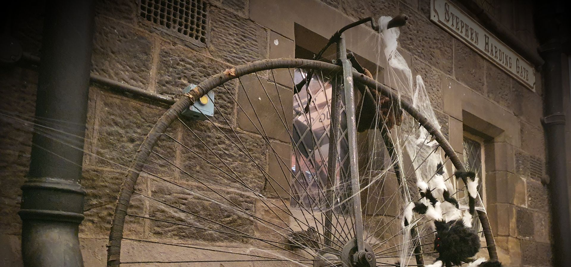 An old fasioned bike with a large spider on