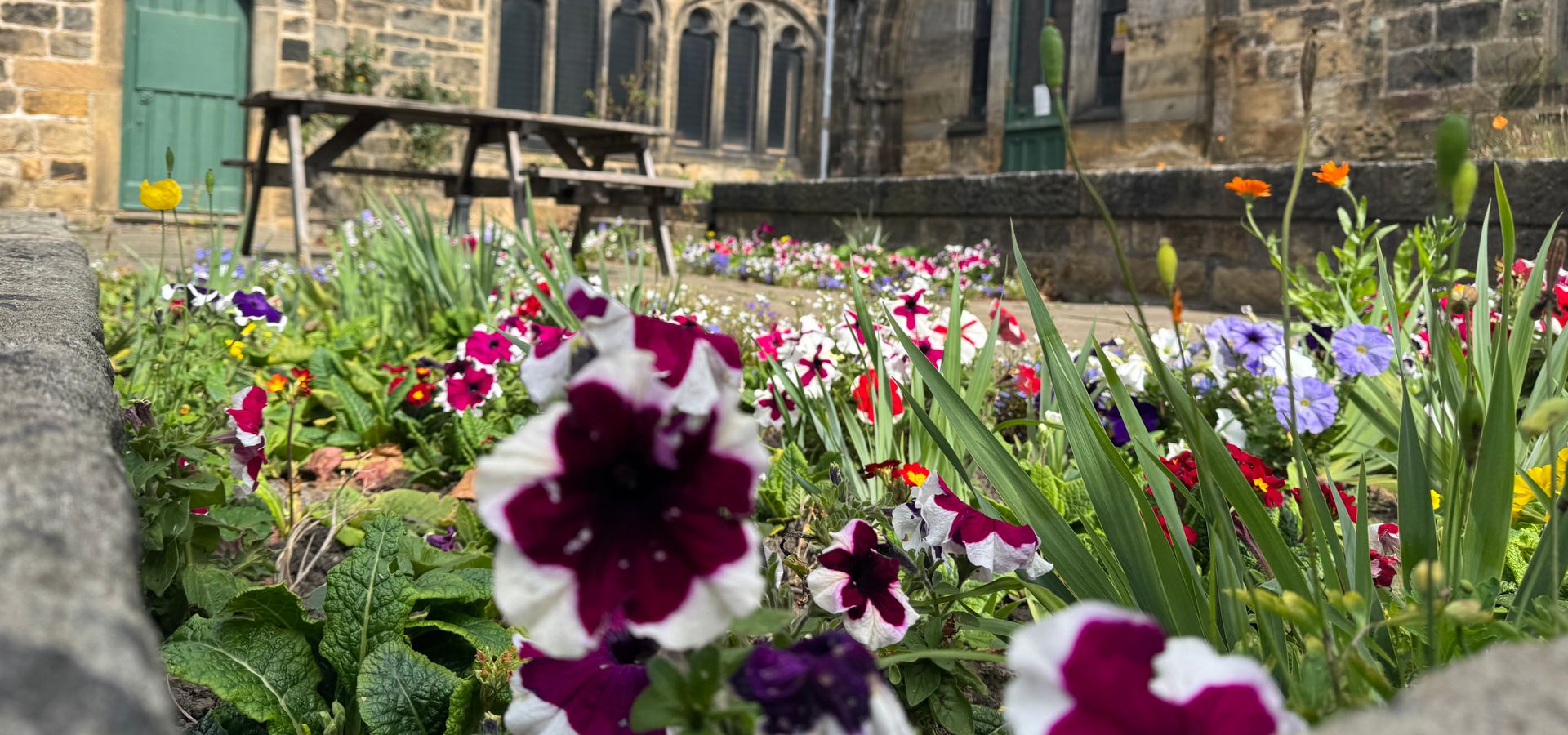 A flower bed in front of Abbey House Museum