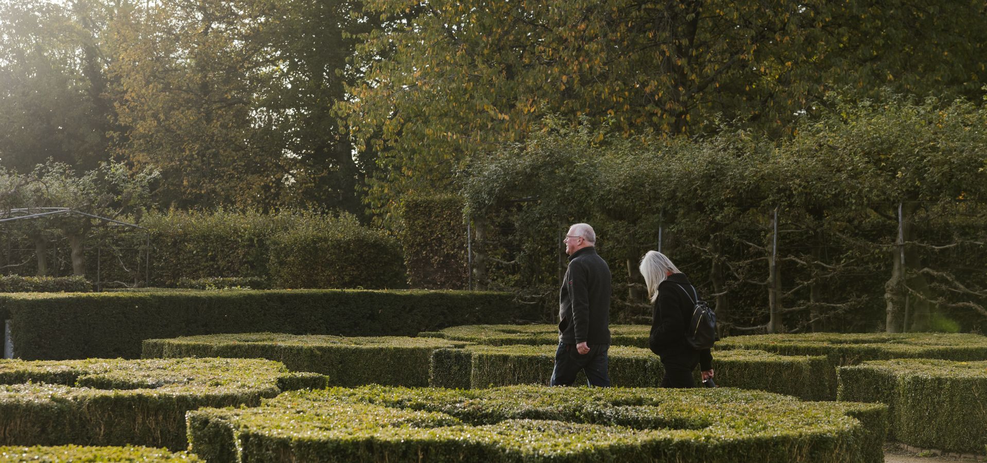 A couple walking through garden hedges with trees behind