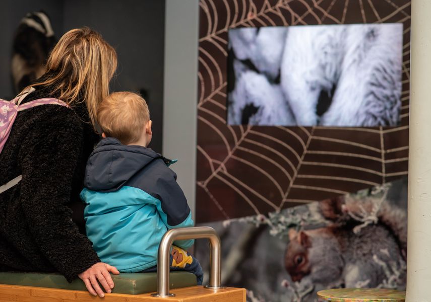 an adult and child sat on a bench watching a video in the museum