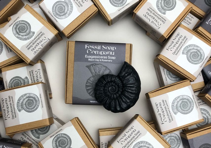 A black shell shaped soap, surrounded by boxes of the same soap