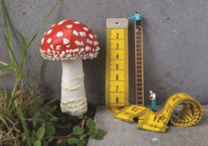 A crafted mushroom with a miniature ruler