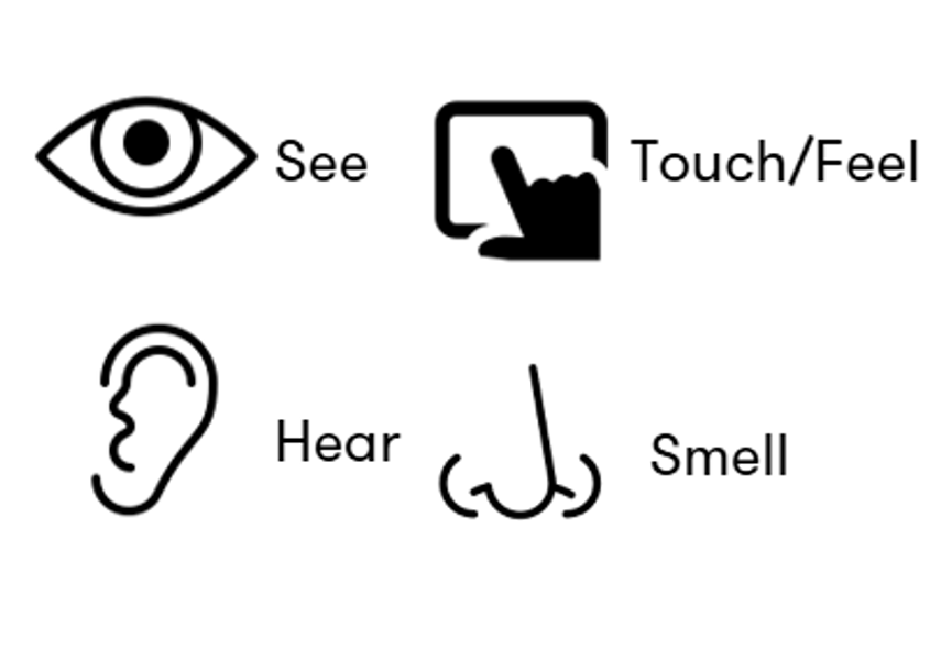 See, Touch/Feel, Hear and Smell symbols