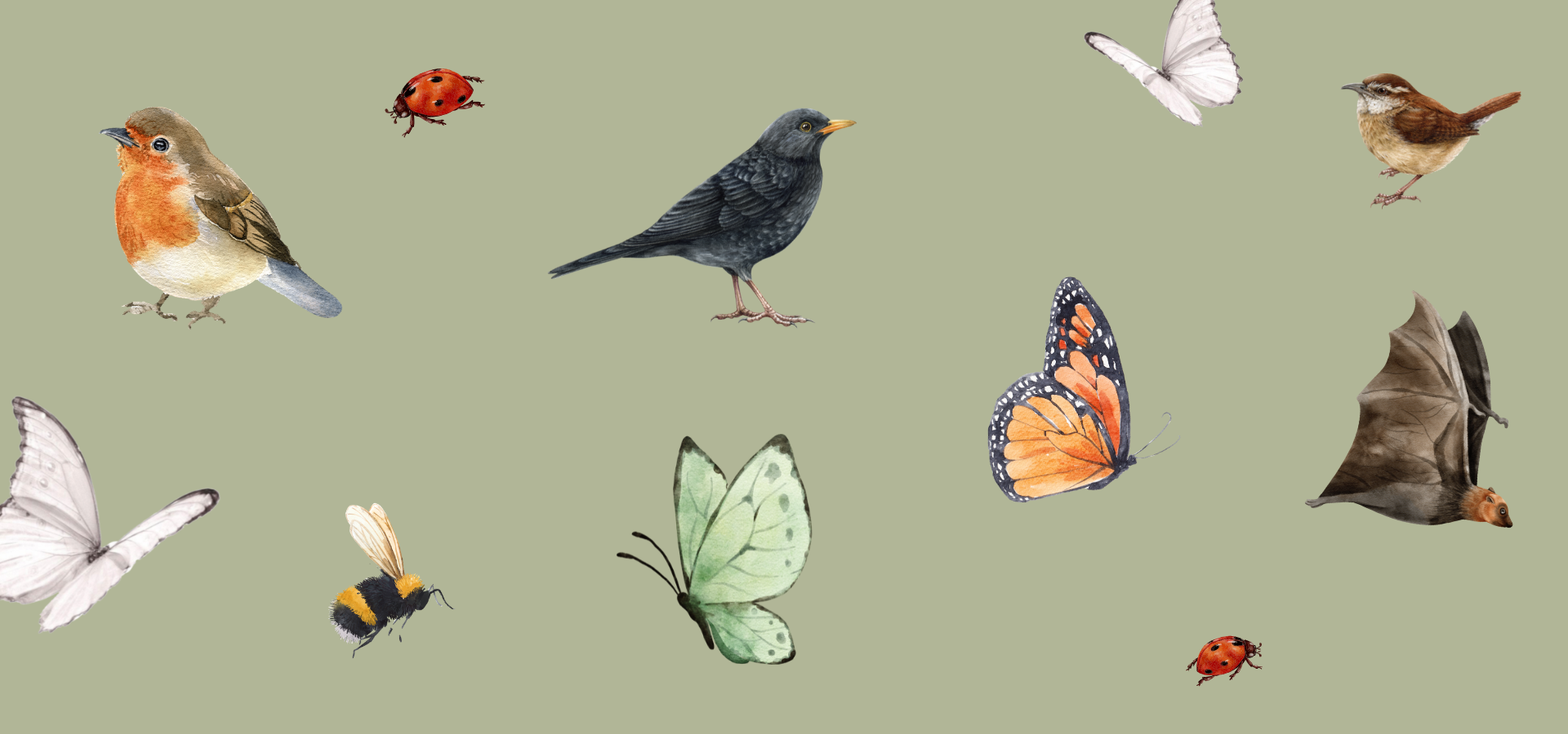 illustrations of birds, bees, butterflies, ladybirds, and bats