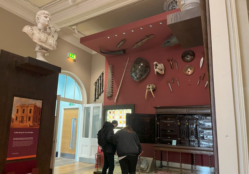 A wall display from the Collectors Cabinet featuring weapons and animal bones.
