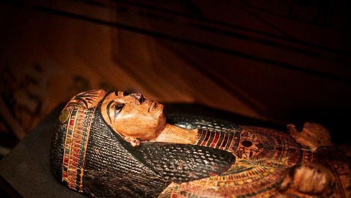 An Egyptian mummy casket