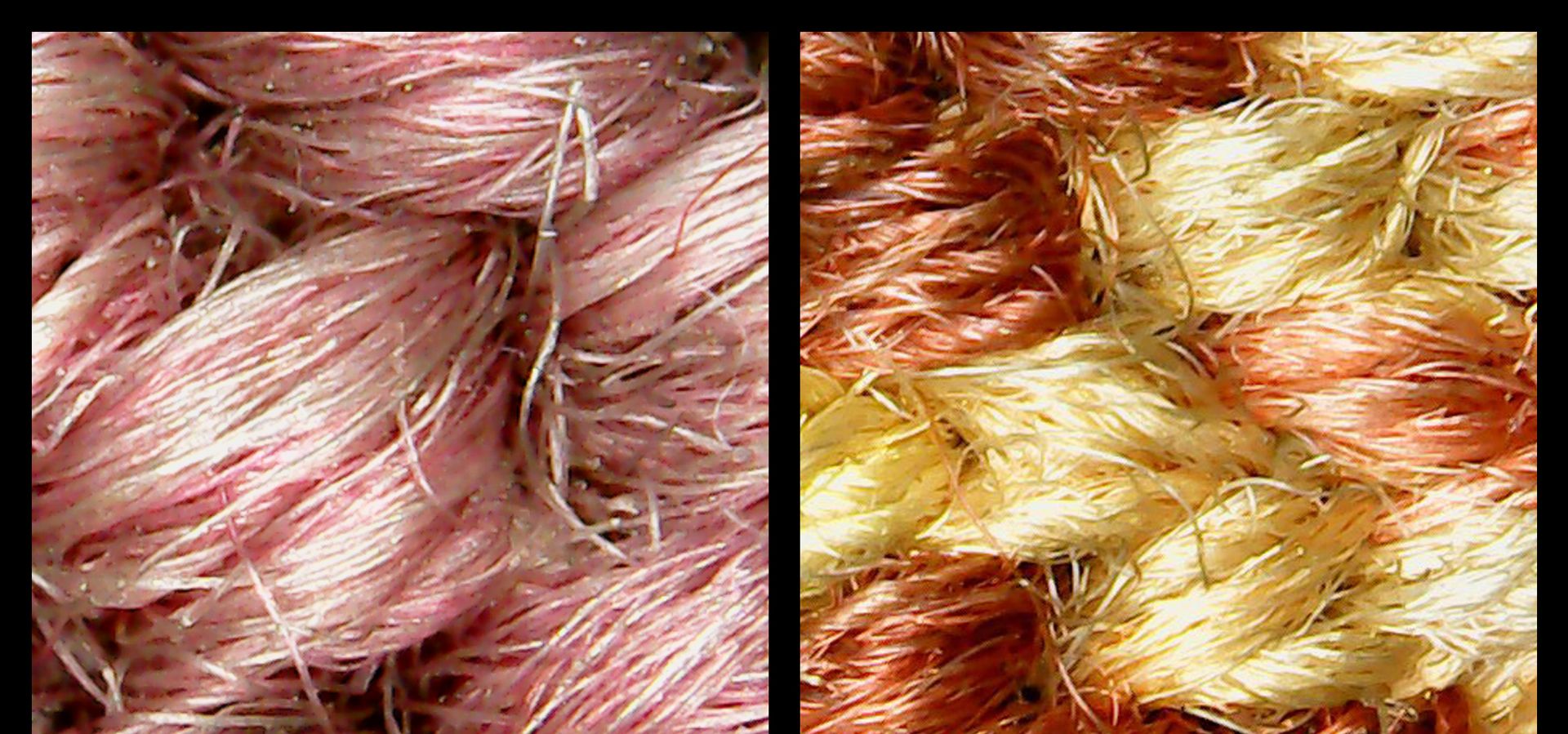close up of pink and yellow fibres