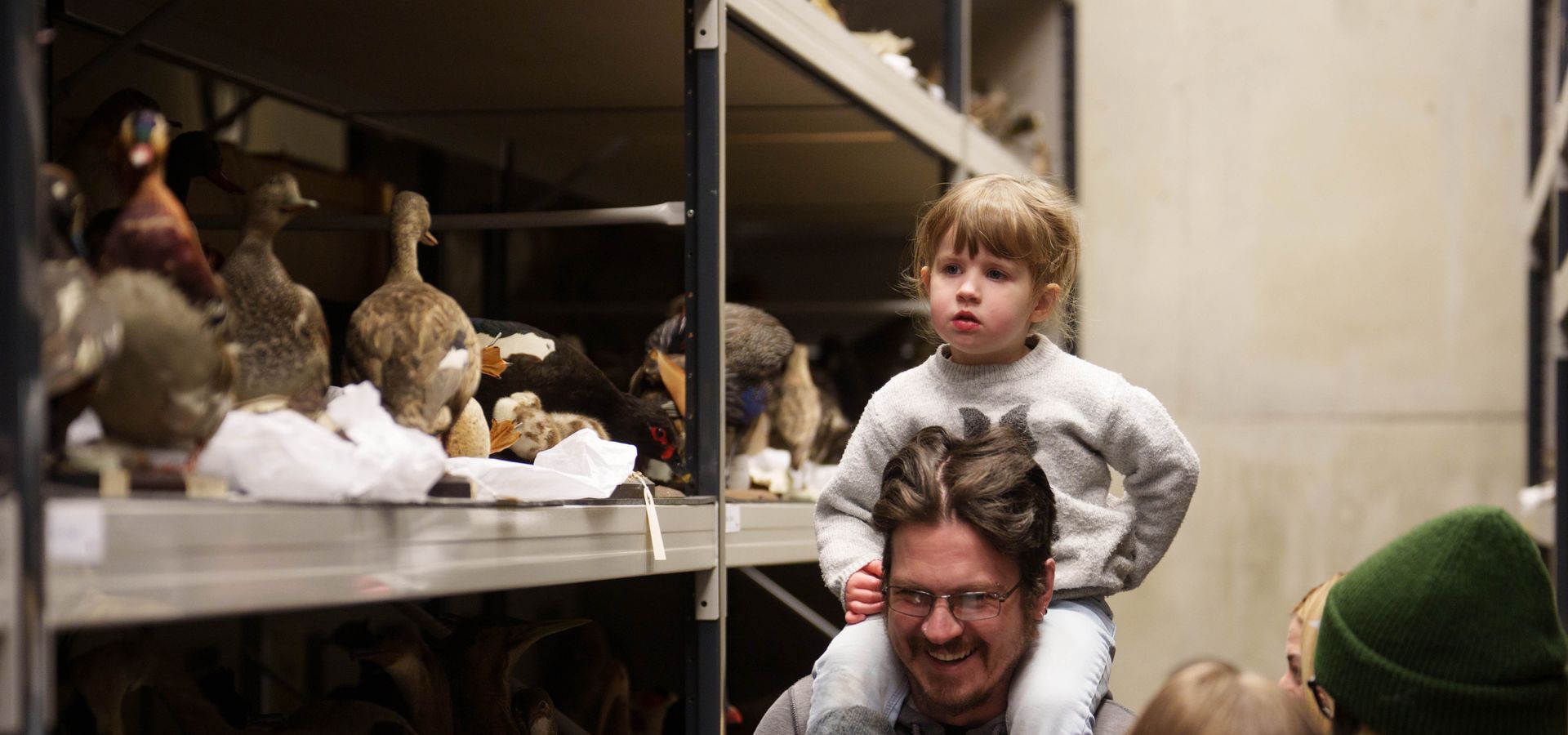 A child sat on an adults shoulders looking at taxidery birds in Leeds Discovery Centre